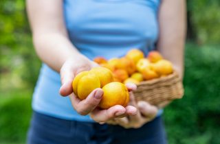 Caldo estivo? Il segreto sono frutta e verdura!