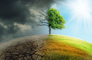 Cop26, successo storico o ennesimo fallimento?